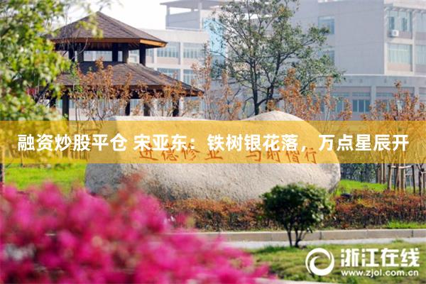 融资炒股平仓 宋亚东：铁树银花落，万点星辰开