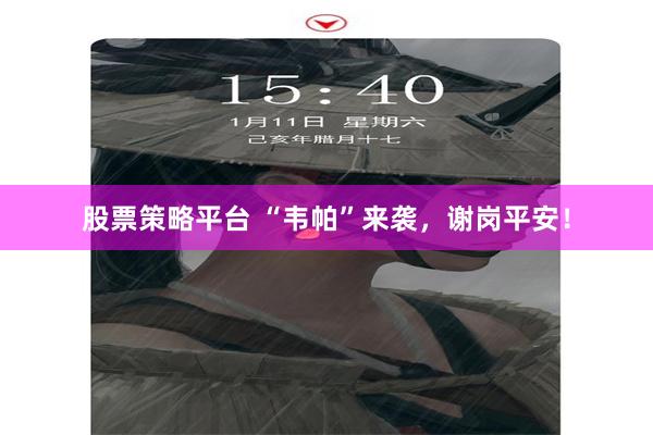 股票策略平台 “韦帕”来袭，谢岗平安！