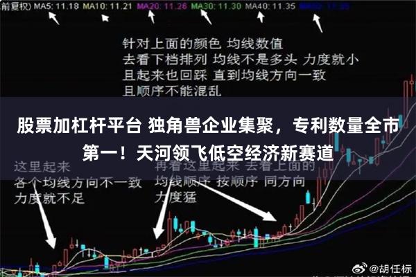 股票加杠杆平台 独角兽企业集聚，专利数量全市第一！天河领飞低空经济新赛道
