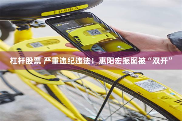 杠杆股票 严重违纪违法！惠阳宏振图被“双开”