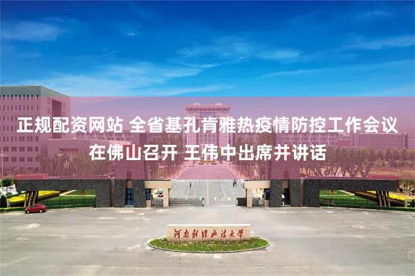 正规配资网站 全省基孔肯雅热疫情防控工作会议在佛山召开 王伟中出席并讲话