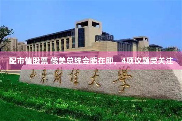 配市值股票 俄美总统会晤在即，4项议题受关注