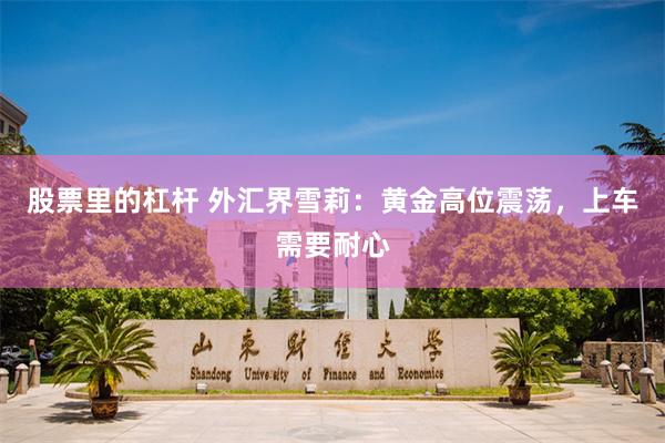 股票里的杠杆 外汇界雪莉：黄金高位震荡，上车需要耐心