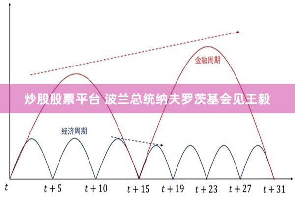 炒股股票平台 波兰总统纳夫罗茨基会见王毅