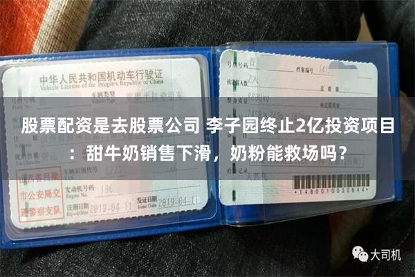 股票配资是去股票公司 李子园终止2亿投资项目：甜牛奶销售下滑，奶粉能救场吗？