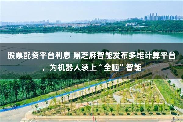股票配资平台利息 黑芝麻智能发布多维计算平台，为机器人装上“全脑”智能