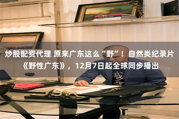 炒股配资代理 原来广东这么“野”！自然类纪录片《野性广东》，12月7日起全球同步播出