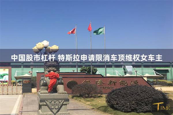 中国股市杠杆 特斯拉申请限消车顶维权女车主