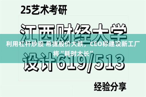 利用杠杆炒股 希捷股价大跌，CEO称建设新工厂将“耗时太长”
