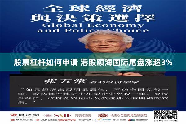 股票杠杆如何申请 港股颐海国际尾盘涨超3%