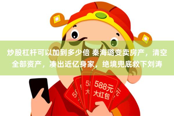 炒股杠杆可以加到多少倍 秦海璐变卖房产，清空全部资产，凑出近亿身家，绝境兜底救下刘涛