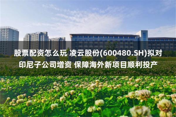 股票配资怎么玩 凌云股份(600480.SH)拟对印尼子公司增资 保障海外新项目顺利投产