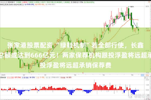 张家港股票配资 “绿鞋机制”若全部行使,长鑫科技募资总额或达到666亿元!两家保荐机构跟投浮盈将远超承销保荐费