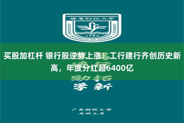 买股加杠杆 银行股逆势上涨！工行建行齐创历史新高，年度分红超6400亿