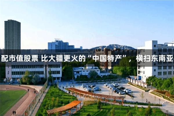 配市值股票 比大疆更火的“中国特产”，横扫东南亚