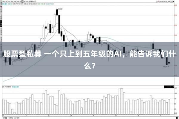 股票型私募 一个只上到五年级的AI，能告诉我们什么？