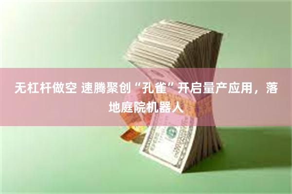 无杠杆做空 速腾聚创“孔雀”开启量产应用，落地庭院机器人