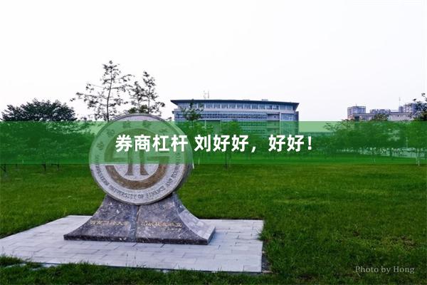 券商杠杆 刘好好，好好！