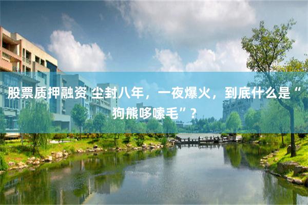 股票质押融资 尘封八年，一夜爆火，到底什么是“狗熊哆嗦毛”？
