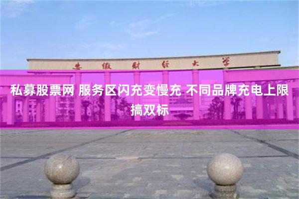 私募股票网 服务区闪充变慢充 不同品牌充电上限搞双标