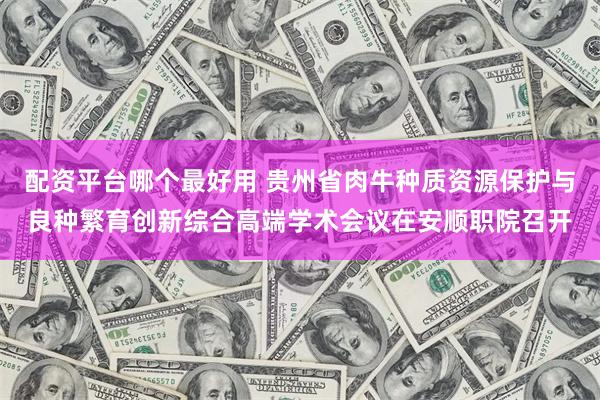 配资平台哪个最好用 贵州省肉牛种质资源保护与良种繁育创新综合高端学术会议在安顺职院召开