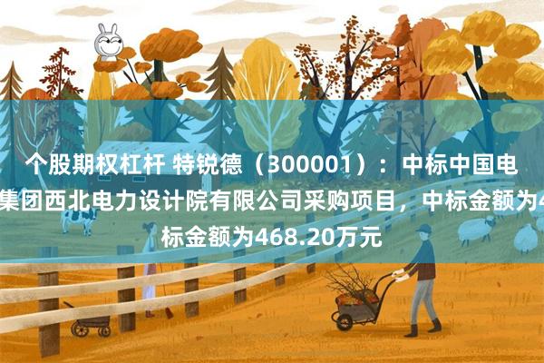 个股期权杠杆 特锐德（300001）：中标中国电力工程顾问集团西北电力设计院有限公司采购项目，中标金额为468.20万元